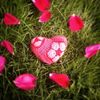 Herz mit African flowers Heart for Valentine.jpg