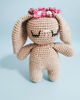 Rae the Rabbit Amigurumi Crochet Patterns, Crochet Pattern.jpg