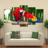 Feather Colorful Birds Animal.jpg