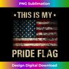 WX-20240125-21827_This Is My Pride Flag USA American 4th of July Patriotic 2253.jpg