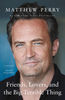 friends lovers and the big terrible thing matthew perry.jpg