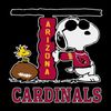 Arizona-Cardinals-2024.jpg