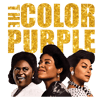 2112231027-the-color-purple-2023-celie-nettie-sofia-png-2112231027png.png