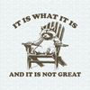 ChampionSVG-0905241029-it-is-what-it-is-and-it-is-not-great-funny-raccoon-svg-0905241029png.jpeg