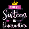 Sweet-Sixteen-In-Quarantine-Svg-BD210426L199.jpg