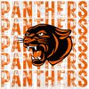 Panthers Distressed Mascot, Orange, Design PNG, Digital Download.jpg