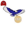 Bird FMS Embroidery logo for Cap..jpg