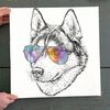 Dog Square Canvas - Husky Dog Graphic Art Print - Husky In Glasses -Canvas Print - Dog Wall Art Canvas - Furlidays.jpg