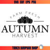 Autumn Harvest Svg, Farm Fresh Svg, Autumn Vibes Svg, Fall.jpg