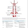 Mayo Clinic Neurology Board Review.''='.jpg