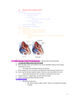 Adult Health 3-3_page-0001.jpg