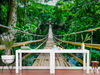 Removable-wallpaper-Bamboo-Bridge.jpg