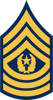 E-9 Command Sergeant Major Insignia Sticker Self Adhesive Vinyl us army - C2047.png