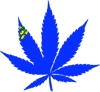 Nevada Flag Weed Marijuana Leaf Sticker Self Adhesive Vinyl 420 hemp - C3348.png