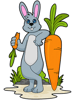 Rabbits Carrot.png