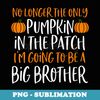 Big Brother Fall Pregnancy Announcement Halloween - PNG Sublimation Digital Download