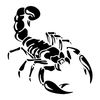 2bOZG134-19-3X20CM-Personality-Scorpion-Car-Sticker-And-Decals-Reflective-Laser-Car-Styling-3D-Stickers-Waterproof.jpg