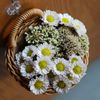 ByERWoven-Storage-Basket-Hanging-Portable-Wall-Hanging-Basket-Portable-Flower-Plant-Pot-Desktop-Kitchen-Vegetables-Storage.jpg