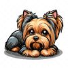 Yorkshire terrier_3.png