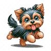 Yorkshire terrier_8.png