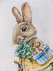 2. Bunny with a blue box Photo10.JPG