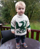 Jack in his dragon sweater (2018_09_10 12_51_24 UTC).jpg