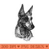 Cattle Dog - PNG Download Library - Flexibility