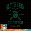 Harry Potter Slytherin Team Seeker Hogwarts Quidditch PNG Download.jpg