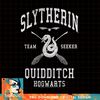 Harry Potter Slytherin Team Seeker Text PNG Download.jpg