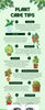 Green Illustrative Watercolor Plant Care Tips Infographic_20230924_114011_0000.jpg