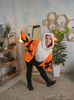 Arcanine pokemon hoodie hooded sweatshirt 03.jpg