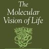 The Molecular Vision of Life.jpg