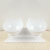 Anti-Vomiting Orthopedic Cat Bowl For Food & Water, Plastic Material