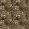 Leopard Print Animal Skin Pattern Sports bra