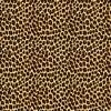 Leopard Skin Animal Print Seamless Pattern Kids Rash Guard