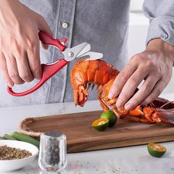 https://www.inspireuplift.com/resizer/?image=https://cdn.inspireuplift.com/uploads/images/seller_product_variant_images/stainless-steel-seafood-cutting-scissors-3012/1628332978_seafoodscissors1.png&width=250&height=250&quality=80&format=auto&fit=cover
