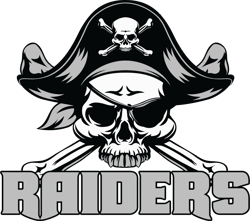 skull raiders logo svg, las vegas raiders svg, nfl svg, nfl logo svg, sport team svg digital download