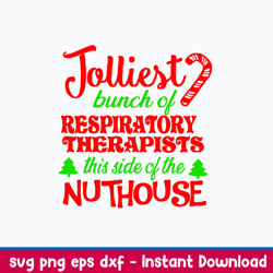 jolliest bunch of respiratory therapists this slide of the nuthouse svg, funny christmas svg, png dxf eps file