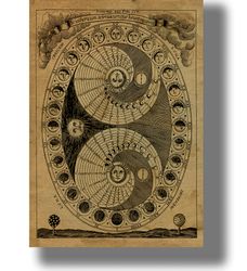 the phases of the moon. wiccan gift. lunar poster. a gift in a scientific style. occult art print. occult zodiac tab 356