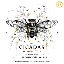 the cicada reunion tour 2024 bee broods xiii and xix png