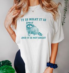 it is what it is and it is not great - vintage drawing t shirt, raccoon meme t shirt, funny trash panda t shirt, unisex