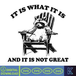 it is what it is and it is not great svg, funny raccoon svg, trash panda svg, opossum svg