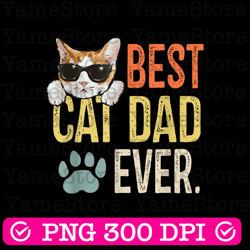 best cat dad ever funny retro cat lover fathers day best dad daddy father's day