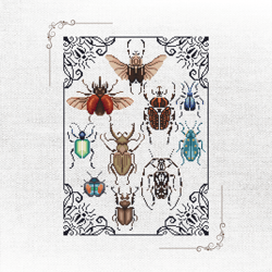 nature-inspired bug collection: diy entomology embroidery pattern