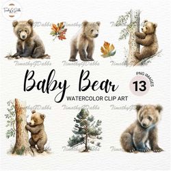 baby bear watercolor clipart png