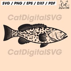 grouper fish svg, fishing svg, fish svg, fishing clipart, fishing files for cricut, fishing cut files for silhouette