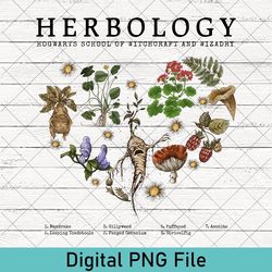 botanical png, herbology shirt, herbology plants png, plant lover png, gardening png, gift for plant lover, plant wizard