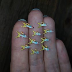 miniature clay double swordtail guppy 10 pcs, tiny fish for diorama, resin art, display or dollhouse aquarium