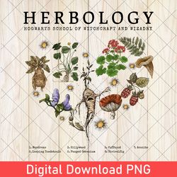 herbology png, wizardy plants png, herbology wizard school png, wizard school png, wizard herbology png, witches plant