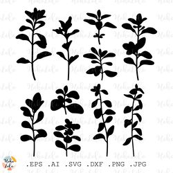 marjoram svg, marjoram silhouette, marjoram cricut, marjoram stencil templates dxf, marjoram clipart png, flower svg